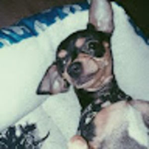 Meet your Posher, Isa